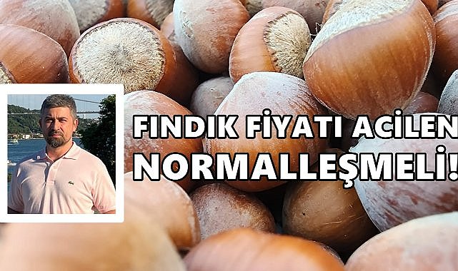 Fındık Fiyatları Acilen Normalleşmeli; İstikrarsız Fiyat Avrupalı Sanayiciyi Bezdiriyor