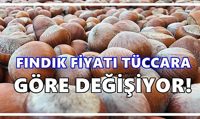 Fındık Fiyatları Tüccardan Tüccara Değişiyor