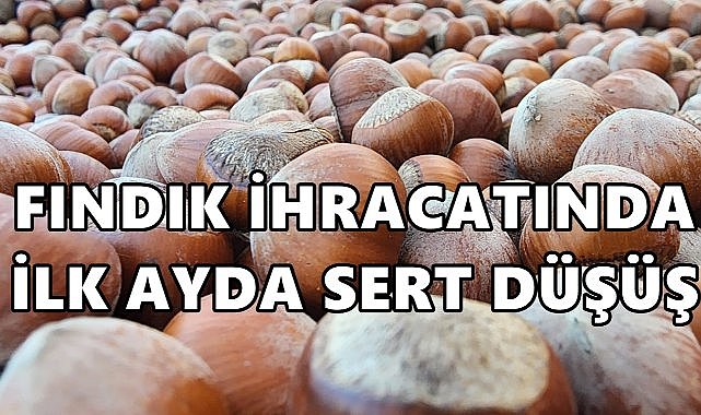 Fındık ihracatında ilk ayda sert düşüş! 