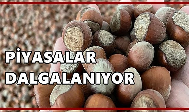 Fındık Piyasasında Dalgalanma:Fiyat Düşüyor
