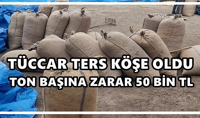Fındık Stoklayan Tüccar Zor Durumda: Ton Başına 50 Bin TL Zarar