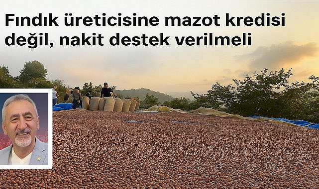 Fındık üreticisine mazot kredisi değil, nakit destek verilmeli