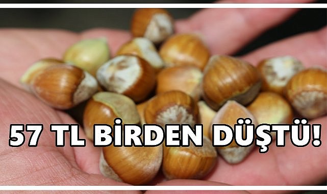 Fındıkta Büyük Darbe: 380’den 323’e İndi