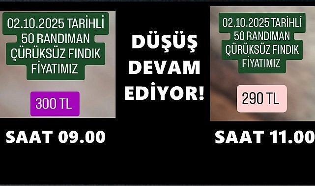 Fındıkta Saatlik Dalgalanma: Tüccar iki saatte fiyatı 300&#039;den 290 TL&#039;ye çekti