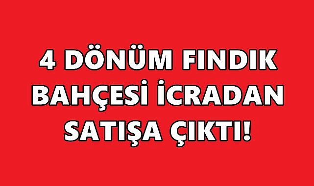 Giresun Yağlıdere’de 4.922 m² Fındık Bahçesi Satışa Çıkarıldı