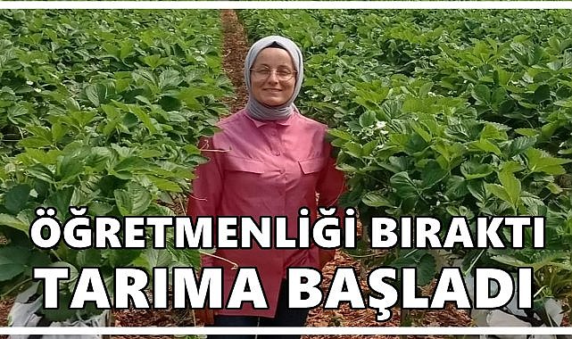 Öğretmenliği Bıraktı Tarıma Başladı Kazancı Arttı!