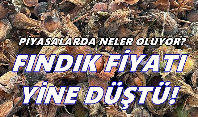 Ordu’da Fındık Fiyatları İki Günde 25 TL Düştü