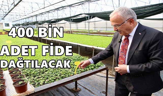 Ordu’da Kışlık Sebze Üretimi Başlıyor: 400 Bin Fide Dağıtılacak
