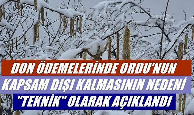 Ordu Kapsam Dışı Değil, Ödemeler Bu Hafta Başlıyor