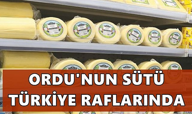 Ordu’nun Sütü Türkiye Raflarında: Gürata Ürünleri CarrefourSA’da