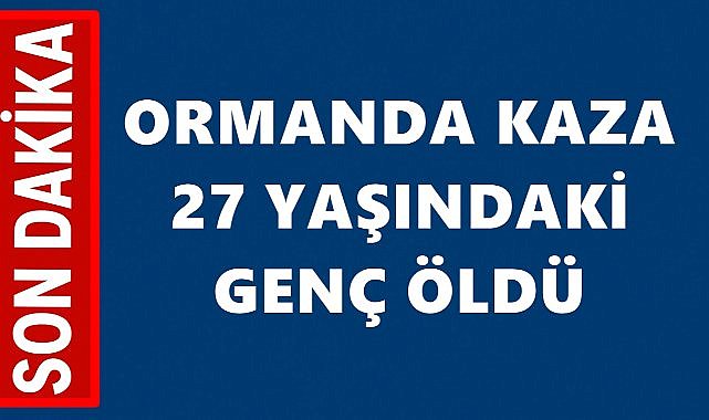 Orman Kesimi Sırasında Uçuruma Yuvarlandı; Ali Can Doğanca Kurtarılamadı