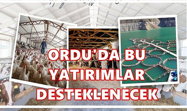 Süt, Et, Yumurta ve Meyve-Sebze İşleme Tesislerine TKDK’dan Hibe Desteği