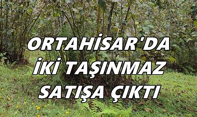 Trabzon Ortahisar’da İki Taşınmaz İcradan Satışa Çıkarıldı
