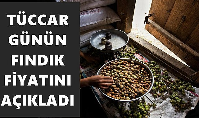 Tüccar fındık fiyatını açıkladı: Fiyatlar çakıldı, üretici satışa ara verdi