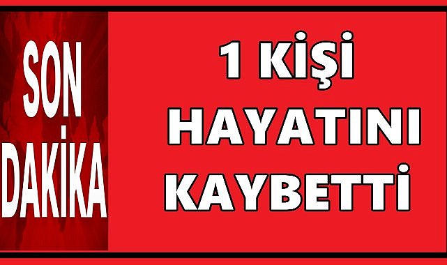 Ünye’de Patpat Uçuruma Yuvarlandı: 65 Yaşındaki Sürücü Hayatını Kaybetti