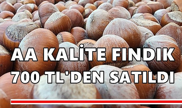 Üretici Fındığını 700 TL Fiyatla Sattı