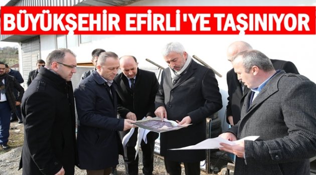 38 DÖNÜM ARAZİ ÜZERİNE KURULACAK