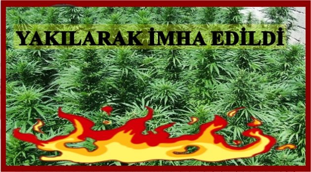 5 KİŞİ GÖZALTINDA