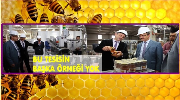 AB HİBESİYLE YAPILDI