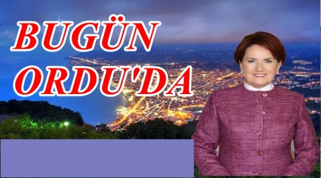 AKŞENER ALTINORDU VE FATSA'DA KONUŞACAK