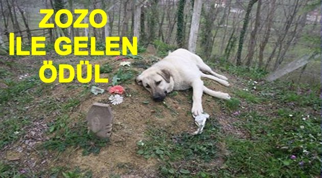 AKYÜREK ÖDÜL ALDI