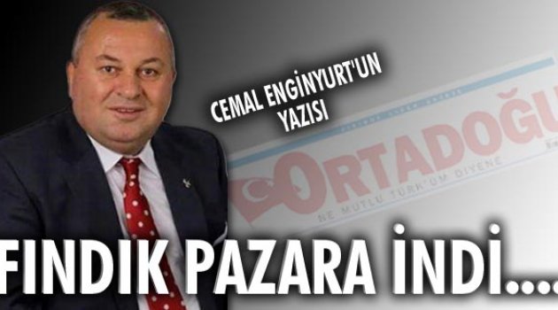 ALLAH AŞKINA ÇOK MU ZOR FINDIĞA SAHİP ÇIKMAK