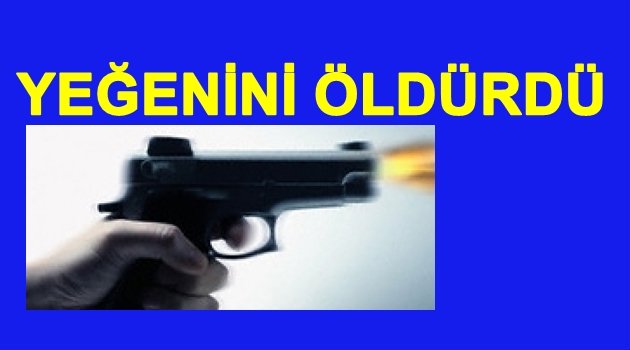 ARAZİ CİNAYETİ AMCA YEĞENİNİ ÖLDÜRDÜ