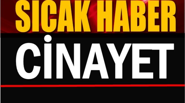 ARAZİ İÇİN BABA KATİLİ OLDU