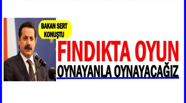 BAKAN ÇELİK FINDIKTA OYUN OYNAYANLARA GÖZDAĞI VERDİ