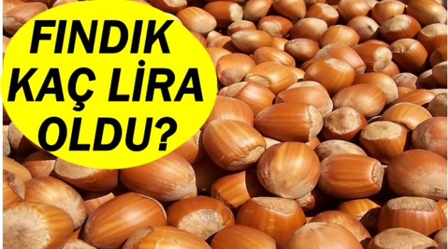 BAKAN&#039;IN AÇIKLAMASINI PİYASALAR NASIL GÖRDÜ