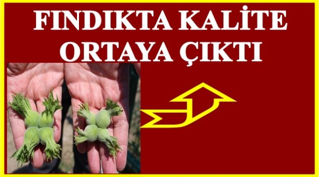 BAKARSAN BAĞ OLUR BAKMASAN DAĞ