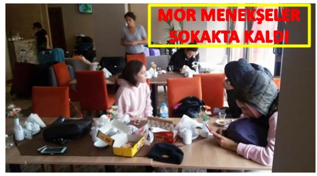 BECERİKSİZ YÖNETİCİLER MOR MENEKŞELERİ SOLDURDU