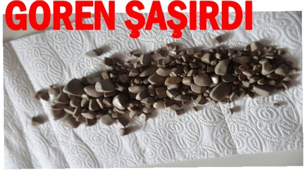 BU KADAR TAŞ NEREDEN ÇIKTI?