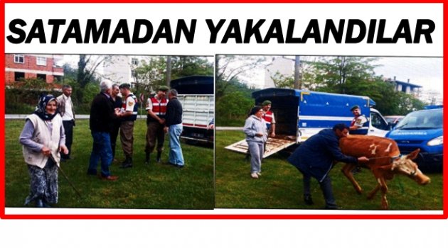 ÇALINAN HAYVANLARINA KAVUŞUNCA AĞLADI