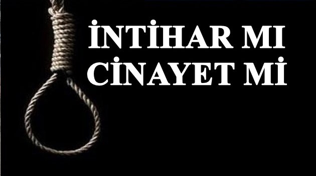 CESEDİ FINDIK BAHÇESİNDE BULUNDU