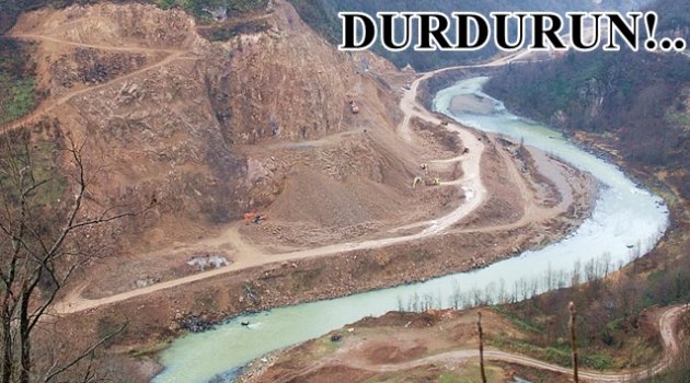 ÇEVRE DERNEĞİ: CİNAYET ARTIK DURDURULMALI