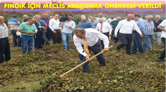 CHP FINDIĞI MECLİS&#039;E GETİRDİ