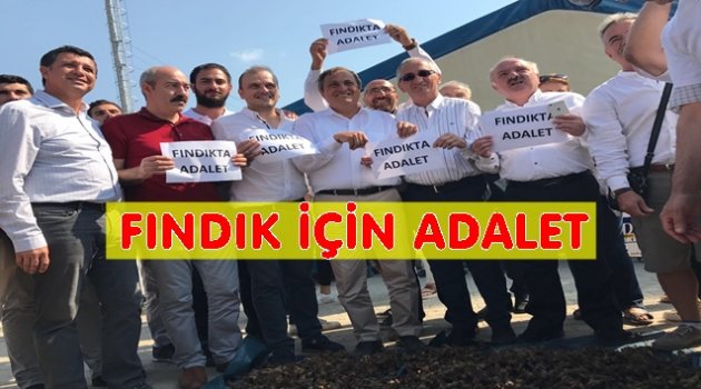 CHP FINDIKTA ADALET İSTEDİ