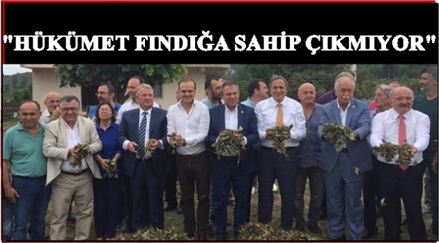 CHP HÜKÜMETE FINDIK HARMANINDAN SESLENDİ