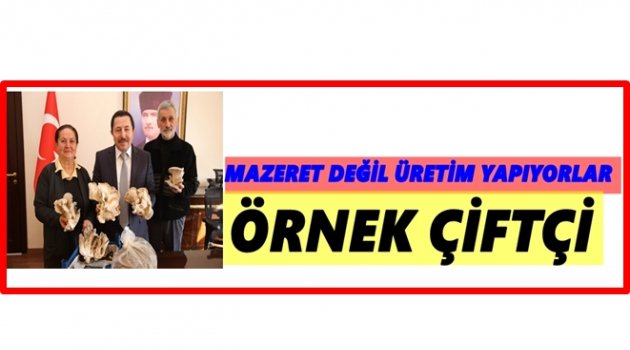 ÇİLEKTEN SONRA MANTAR YETİŞTİRDİ