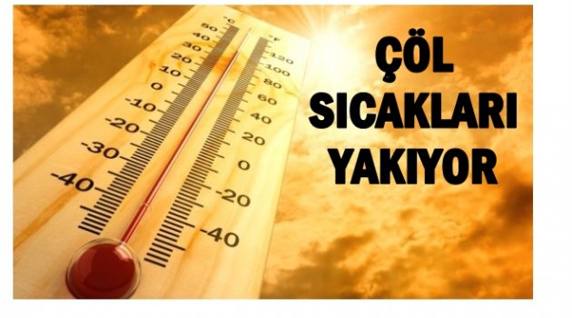 ÇÖL SICAKLARI İÇİN 6 ÖNEMLİ UYARI