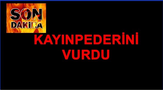 DAMAT KAYIPLARA KARIŞTI