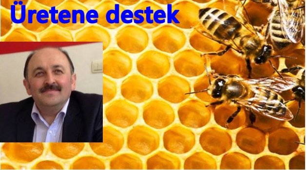 DESTEK PARALARI HESABA YATTI