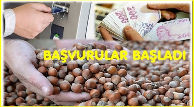 DOĞRUDAN GELİR DESTEĞİ BAŞVURULARI BAŞLADI