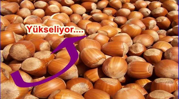 DON ENDİŞESİ FİYATI TETİKLEDİ