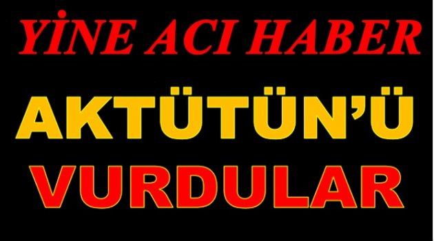 DÖRT ŞEHİT VAR ALTI ASKERDE YARALANDI