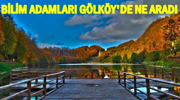 DÜNYANIN DÖRT BİR YANINDAN PROFESÖRLER GÖLKÖY'DE BULUŞTU