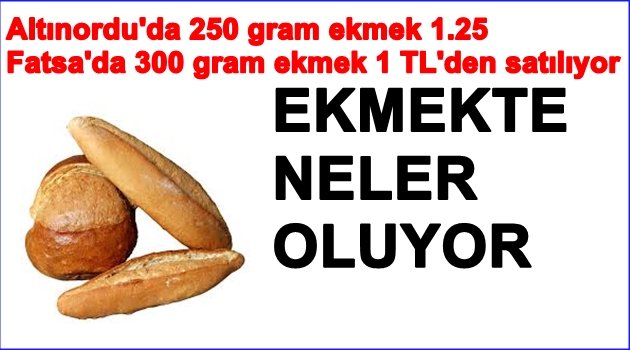 EKMEĞE NEDEN ZAM YAPILDI?