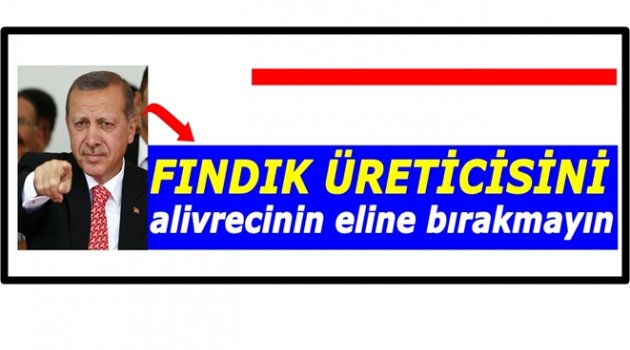 ERDOĞAN &quot;FINDIK ÜRETİCİNİ KORUYUN&quot; DEDİ