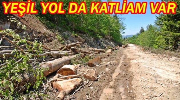 ERSAN: YEŞİL YOLLA YAYLALAR BETONLAŞACAK